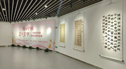 光影与春意 摄影艺术展览与文化之旅的完美交融